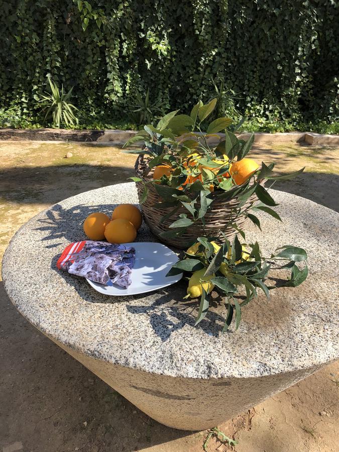 Finca El Bramadero ξενώνας Villalon Εξωτερικό φωτογραφία